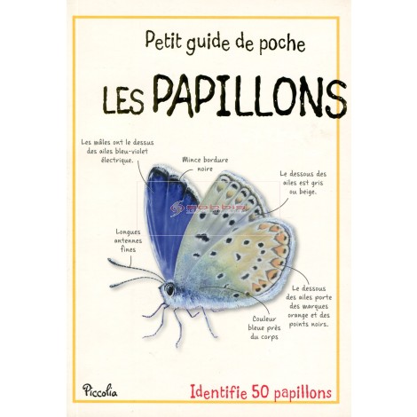 LE PETIT GUIDE DE POCHE / LES PAPILLONS